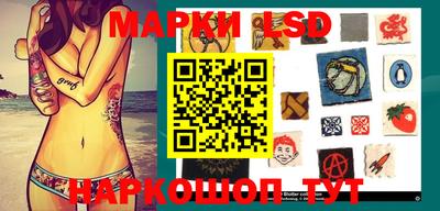 крисы Гай
