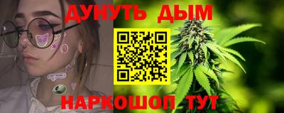крисы Гай