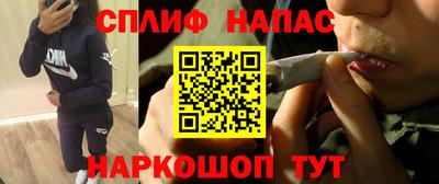 крисы Гай