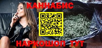 крисы Гай