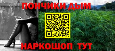 крисы Гай
