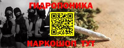прущие крисы Гагарин