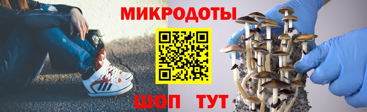Псилоцибиновые грибы прущие грибы  Псилоцибиновые грибы прущие грибы  Вход с VPN  Жуковский 